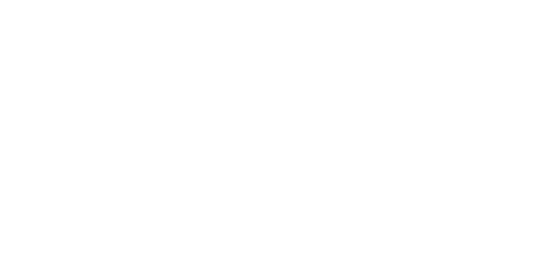 네이버페이 logo